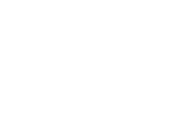 Metaplex